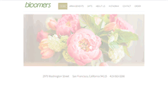 Desktop Screenshot of bloomerssf.com